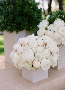 flowers1